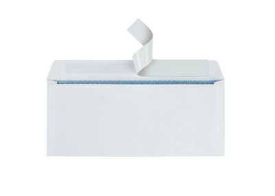 Envelope Blank #10 Security